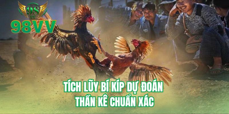 Tích lũy bí kíp dự đoán thần kê chuẩn xác